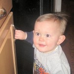 cabinet_20100220