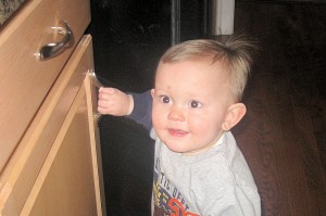 cabinet_20100220